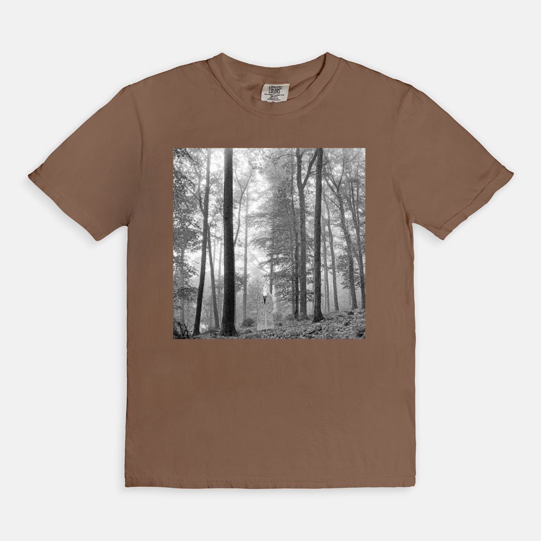 Sleeping Beauty Folklore Comfort Colors Shirt